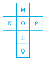 Page 182 Chapter 6 Class 8th NCERT Exemplar